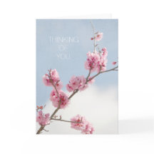 Kirschblüte im Himmel, der an Sie denkt