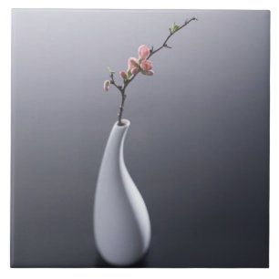 Kirschblüte im Vase Fliese