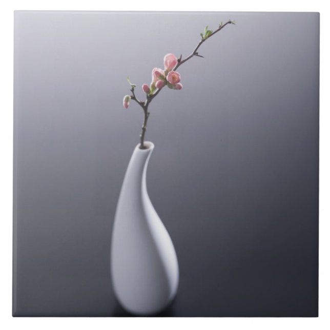 Kirschblüte im Vase Fliese (Vorderseite)