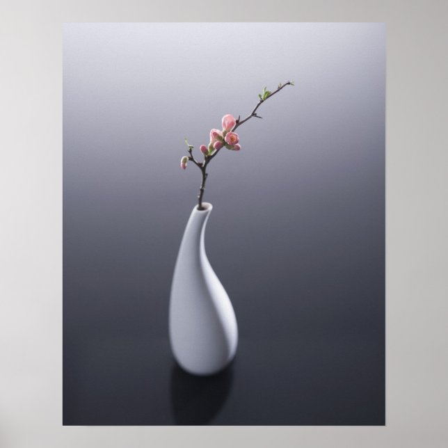 Kirschblüte in Vase Poster (Vorne)