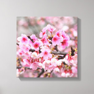 Kirschblüte Japanisch Blumenrosa Sakura Blume Leinwanddruck