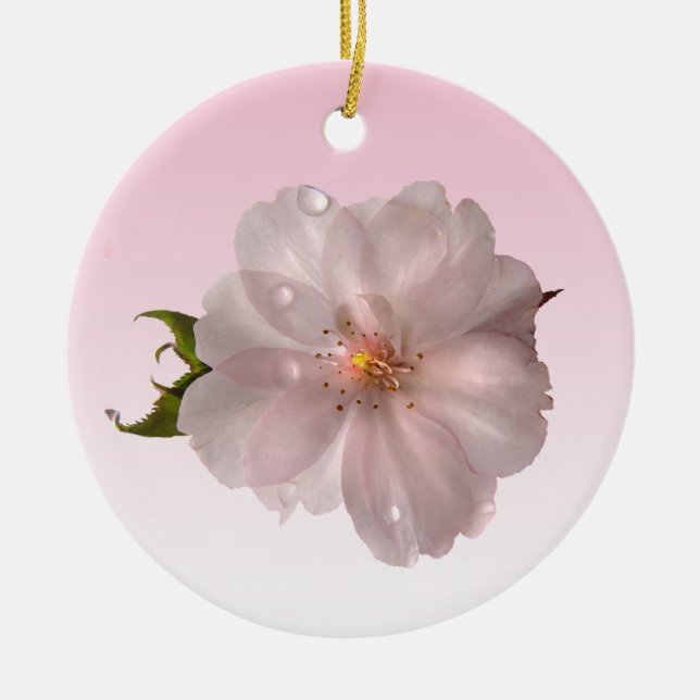 Kirschblüte Keramikornament (Vorne)