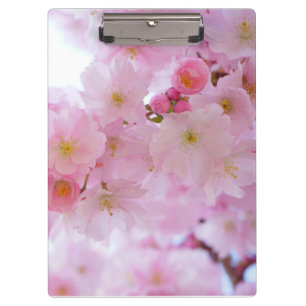 Kirschblüte Klemmbrett