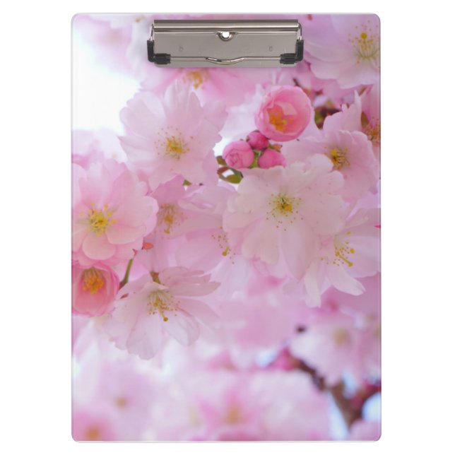 Kirschblüte Klemmbrett (Vorderseite)