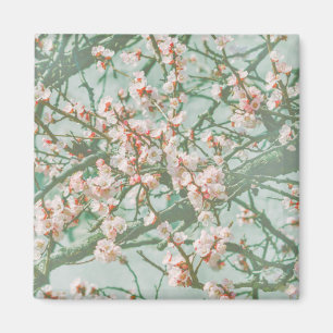 Kirschblüte Magnet