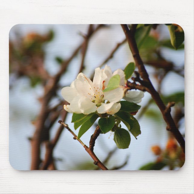 Kirschblüte Mousepad (Vorne)
