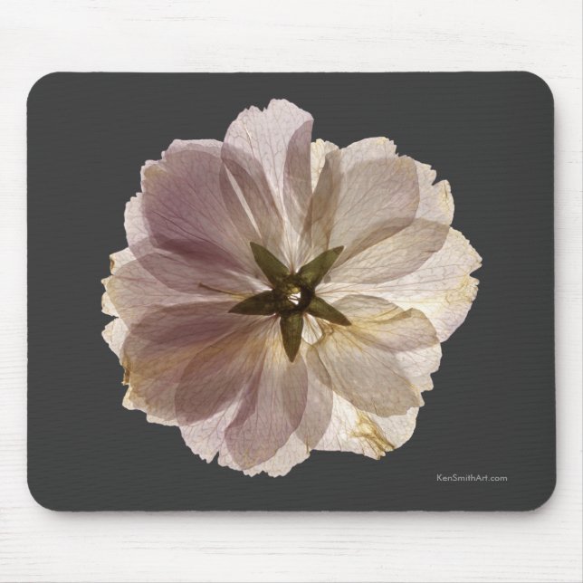 Kirschblüte Mousepad (Vorne)