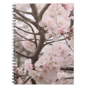 Kirschblüte Notizblock