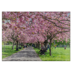 Kirschblüte Schneidebrett