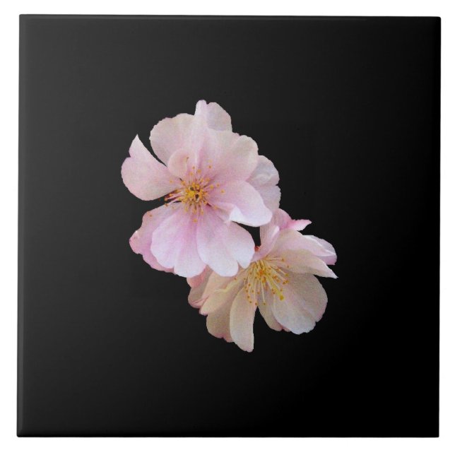 Kirschblüte Trivet Fliese (Vorderseite)