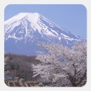 Kirschblüte und der Fujisan Quadratischer Aufkleber