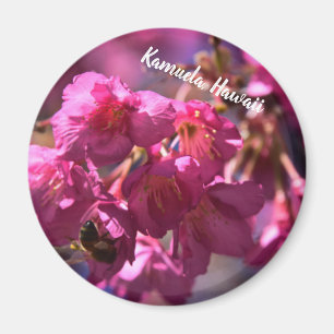 Kirschblüte und eine Biene Magnet