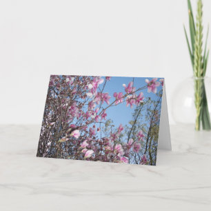 Kirschblüten (Ändern Sie die Besetzung. Karte