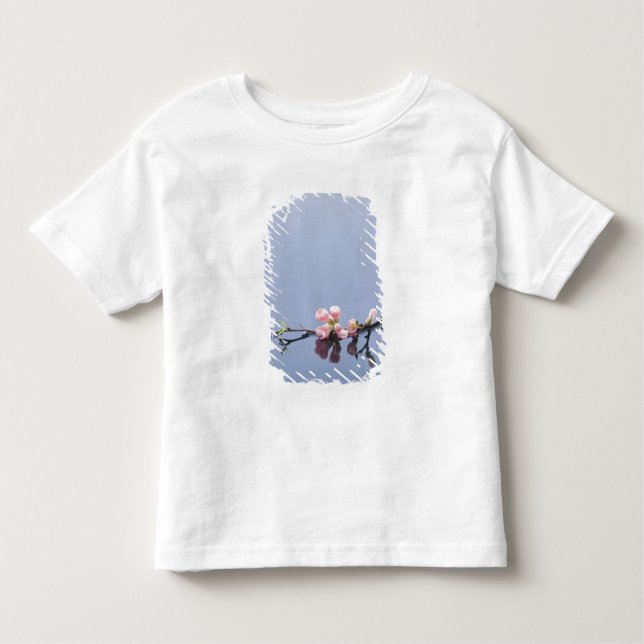 Kirschblüten auf Wasser Kleinkind T-shirt (Vorderseite)