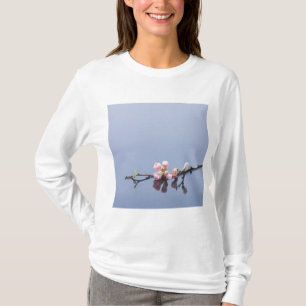 Kirschblüten auf Wasser T-Shirt