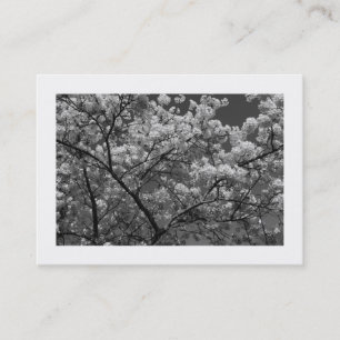 Kirschblüten B&W (gerahmt) Visitenkarte