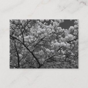 Kirschblüten B&W Visitenkarte