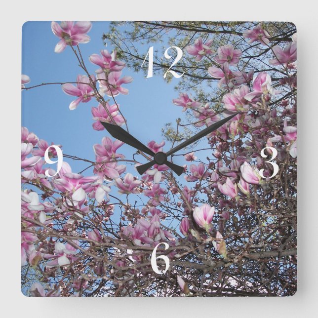 Kirschblüten-Baum Quadratische Wanduhr (Vorderseite)