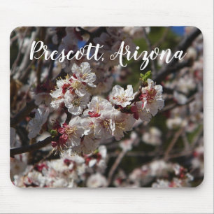 Kirschblüten blühen in Prescott, Arizona Mousepad