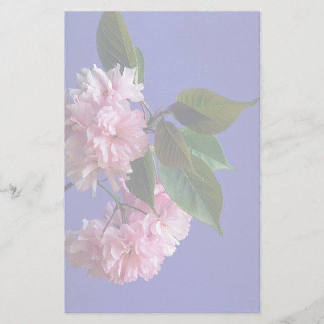 Kirschblüten Briefpapier (Vorderseite)