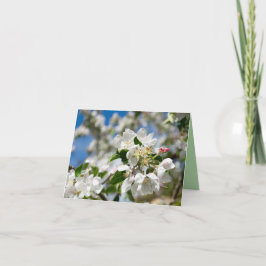 Kirschblüten. Dankeskarte