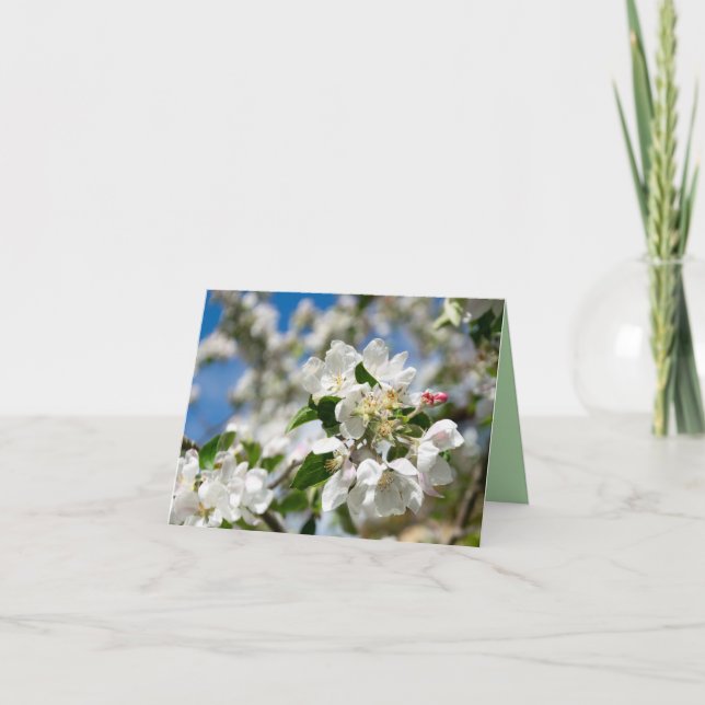 Kirschblüten. Dankeskarte (Vorderseite)