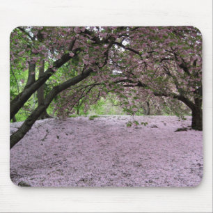 Kirschblüten-Decke Mousepad