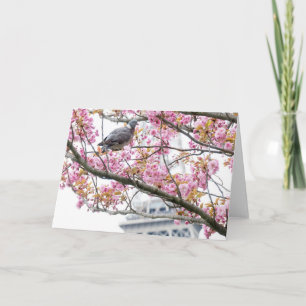 Kirschblüten Faltkarte Karte