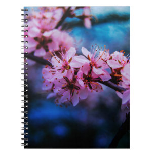 Kirschblüten-Fine-Art-Fotografie Spiralblock Notizblock