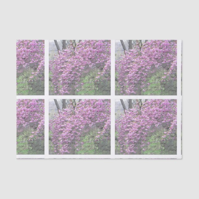 Kirschblüten-französisches Skript Decoupage Seidenpapier (Vorderseite)