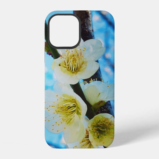 Kirschblüten-Geschenkbox Case-Mate iPhone-Hülle iPhone Hülle (Rückseite)