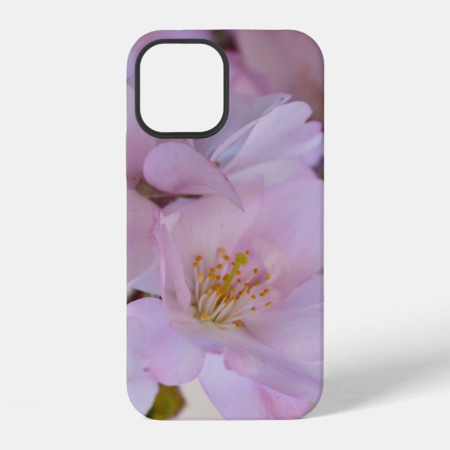 Kirschblüten-Geschenkbox Case-Mate iPhone-Hülle iPhone Hülle (Rückseite)