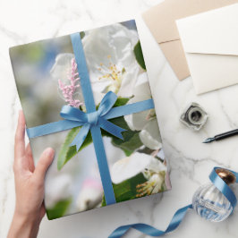 Kirschblüten. Geschenkpapier