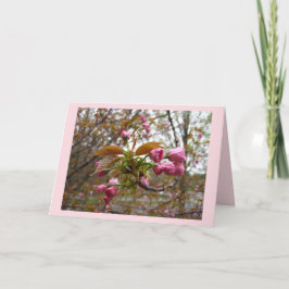 Kirschblüten-Gruß-Karte Karte