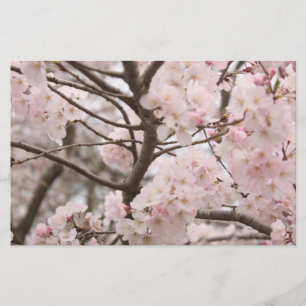 Kirschblüten-Handwerks-Papier Briefpapier