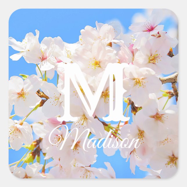 Kirschblüten im Frühling Quadratischer Aufkleber (Vorderseite)