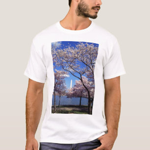 Kirschblüten im T - Shirt Washington DC-Männer