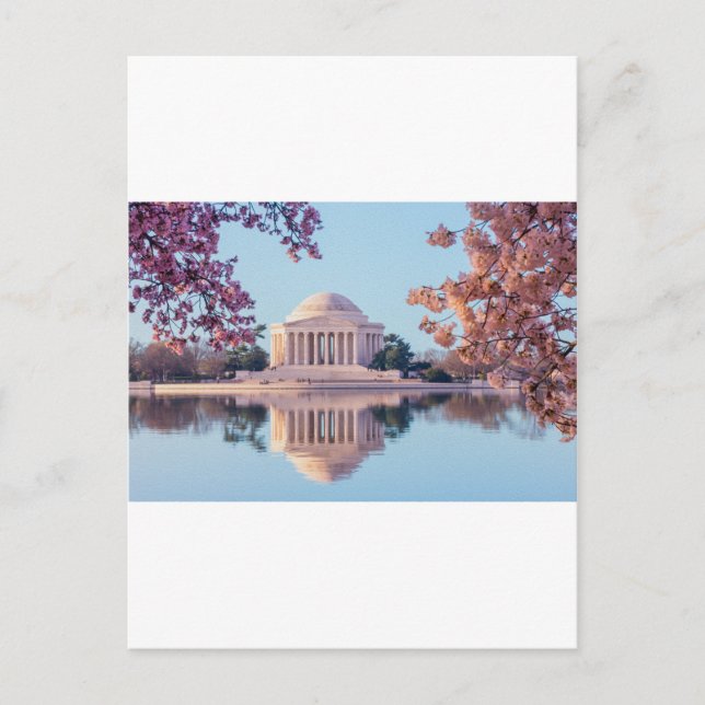 Kirschblüten im Washington DC Postkarte (Vorderseite)