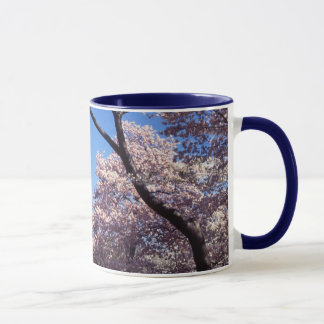 Kirschblüten in der Washington DC-Kaffee-Tasse Tasse