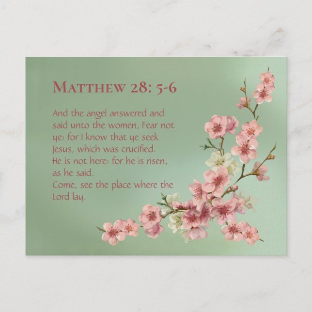 Kirschblüten in rosa und Aquamarin Postkarte (Vorderseite)