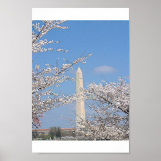 Kirschblüten in Washington D.C. Poster