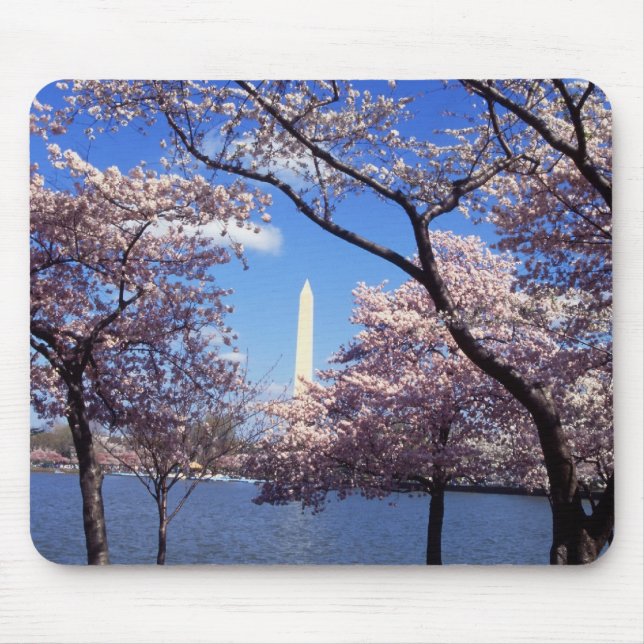 Kirschblüten in Washington DC mousepad (Vorne)