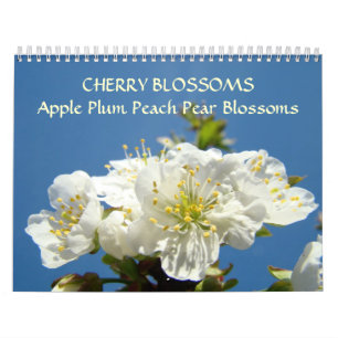 Kirschblüten-Kalender Apfelblüte Birne Pfirsich Kalender