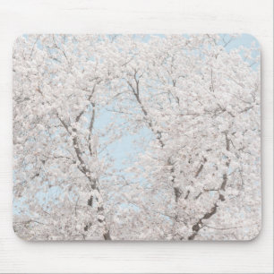 Kirschblüten Mousepad
