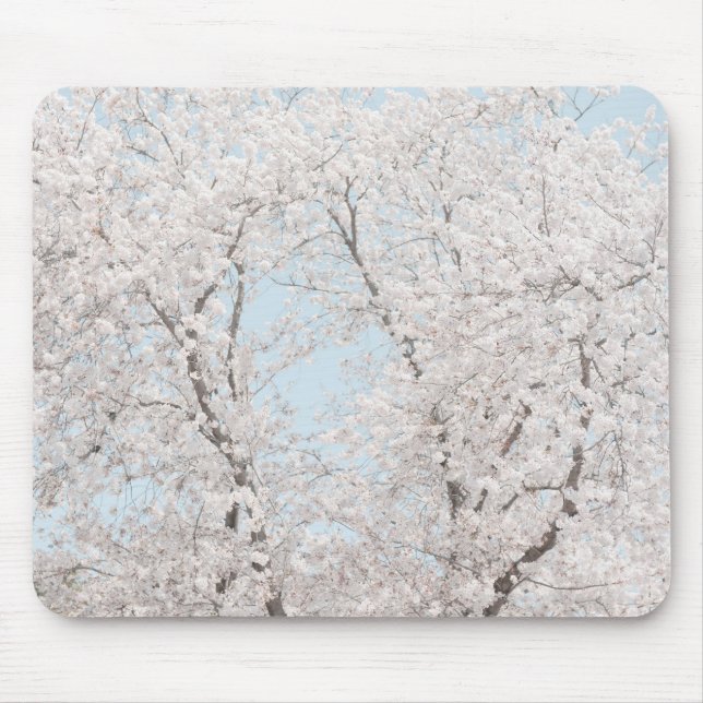 Kirschblüten Mousepad (Vorne)