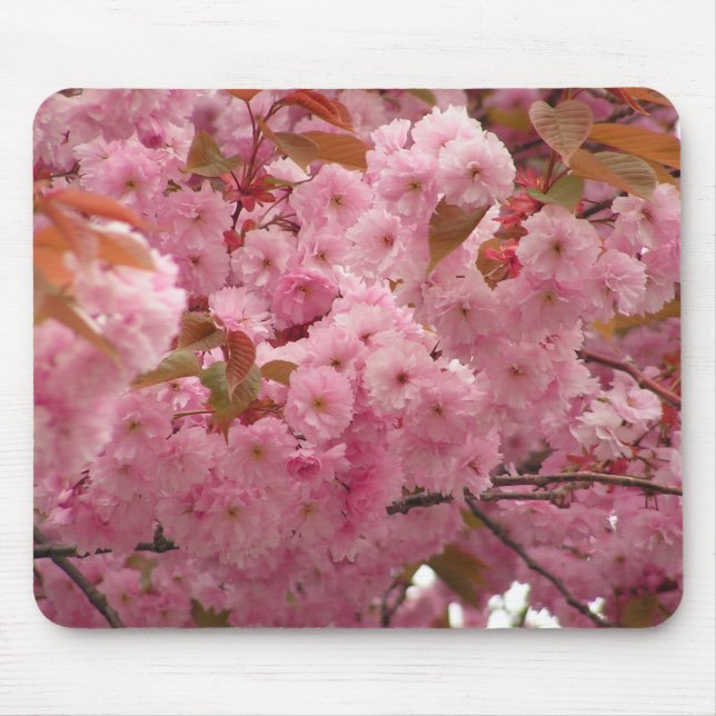 Kirschblüten Mousepad (Vorne)