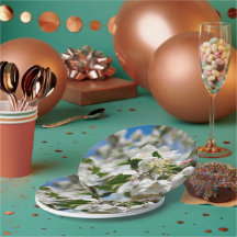 Kirschblüten.