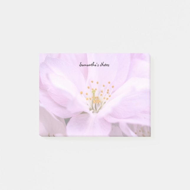 Kirschblüten-Post-it-Notizen Post-it Klebezettel (Vorderseite)