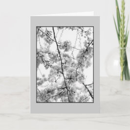 Kirschblüten'-Schwarz-Weiß-Leergrußkarte Karte