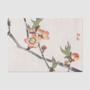 KIRSCHblüten Seidenpapier